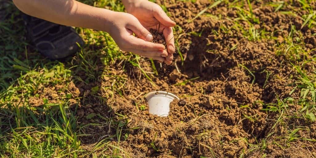 Degradable cup in soil